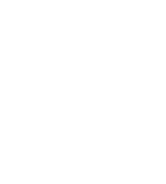 בית הספר ההיברידי
